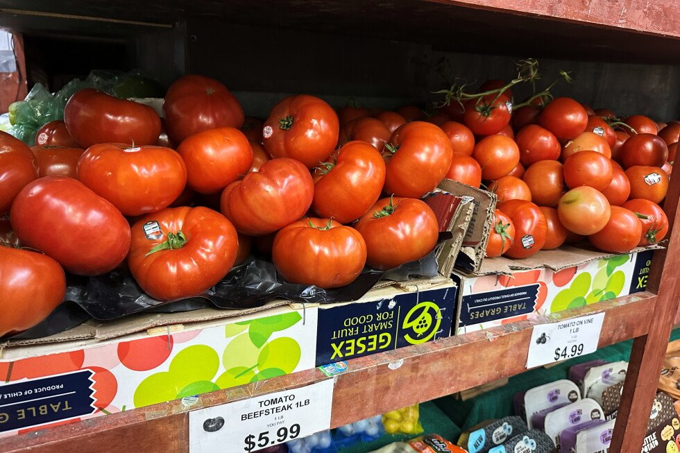 tomatoes-become-latest-symbol-of-america’s-affordability-squeeze