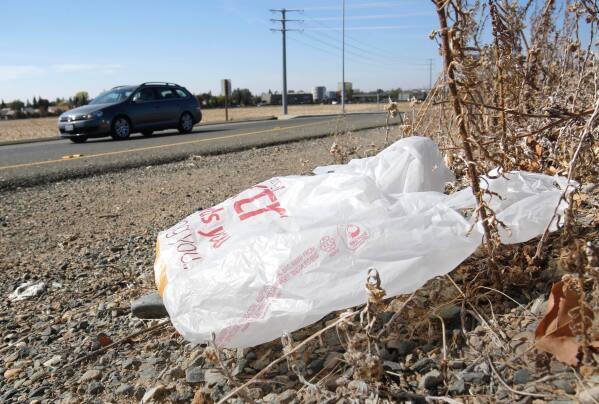 A plastic shopping bag rests on the roadside in Sacramento, Calif, Oct. 25, 2013. (AP Photo/Rich Pedroncelli, File)