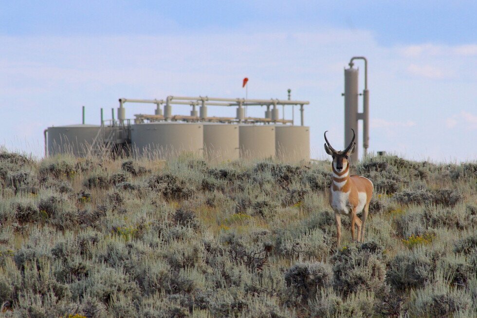group-recommends-long-sought-pronghorn-path-protections