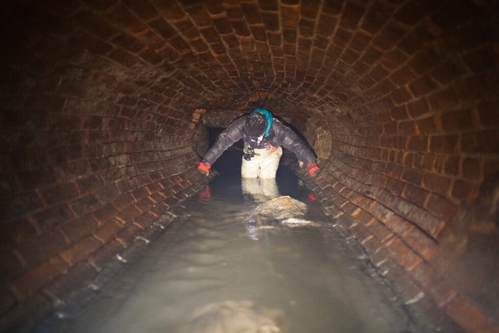 what-it’s-like-inside-new-york-city’s-sewer-system