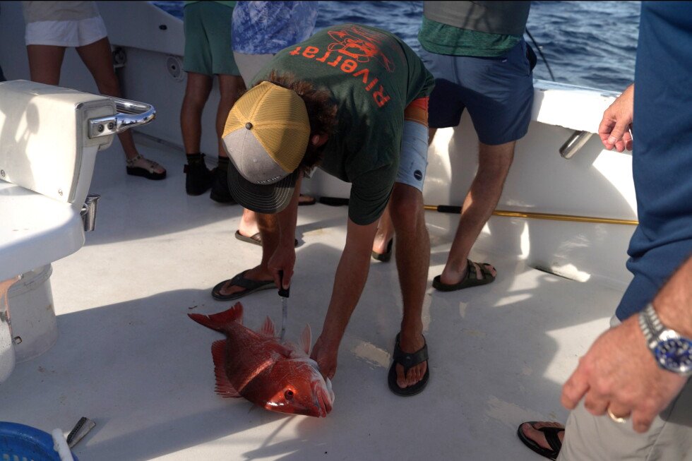 judge-blocks-trump-backed-red-snapper-season