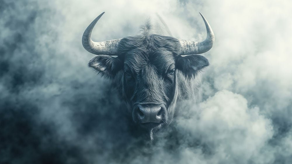 what-to-do-as-rally-faces-first-test;-spacex-ipo,-apple,-oracle-loom