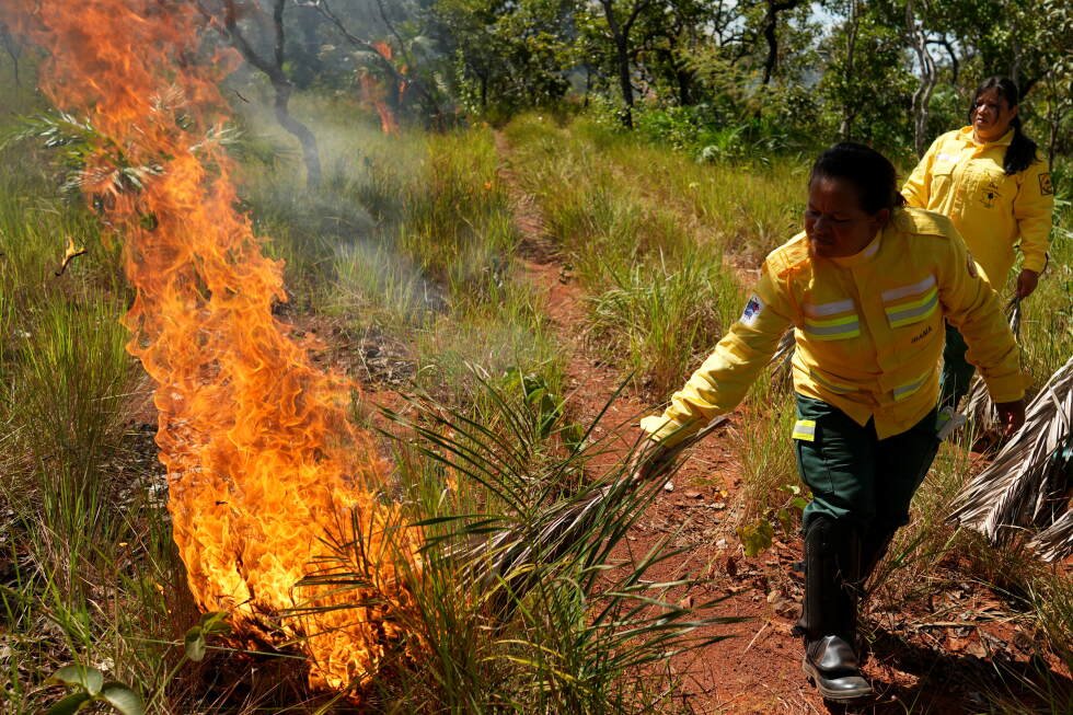 indigenous-practices-reshape-wildfire-strategy-in-brazil’s-cerrado