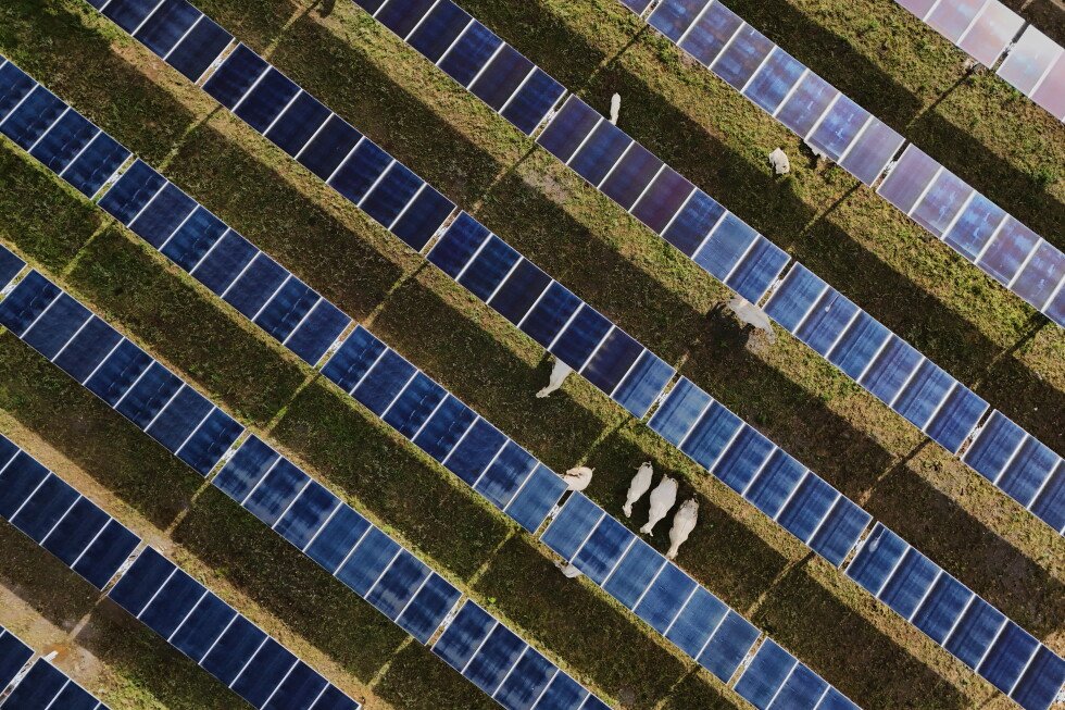 solar-power-beats-coal-for-electricity-generation-despite-trump-policies