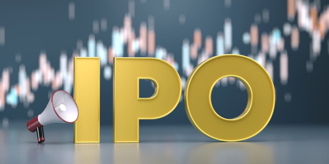 worried-that-big-ipos-will-torpedo-the-stock-market?-these-factors-suggest-otherwise.