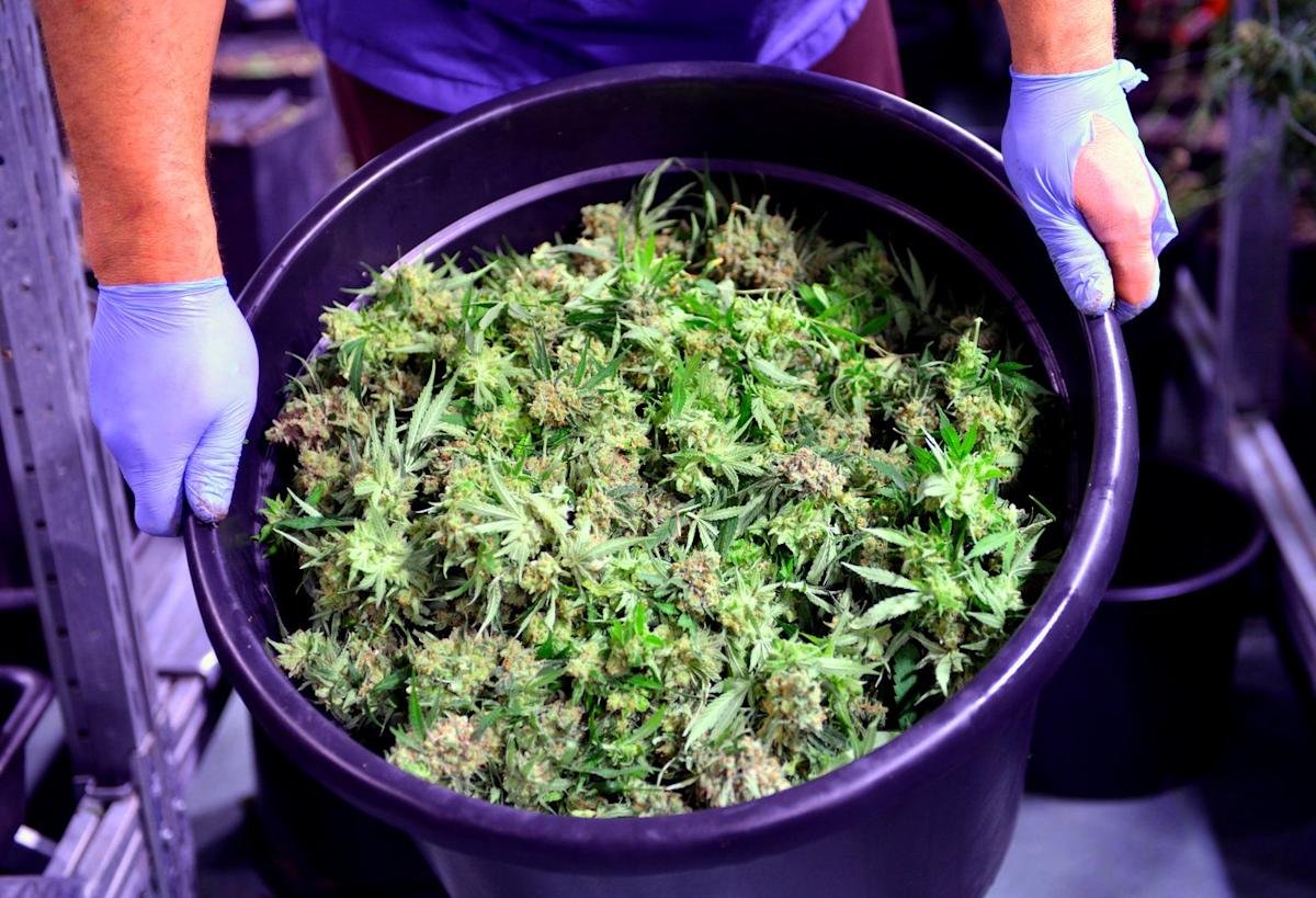 the-first-us-marijuana-stock-is-now-trading-on-the-nyse-here’s-what-that-means-for-every-cannabis-investor.