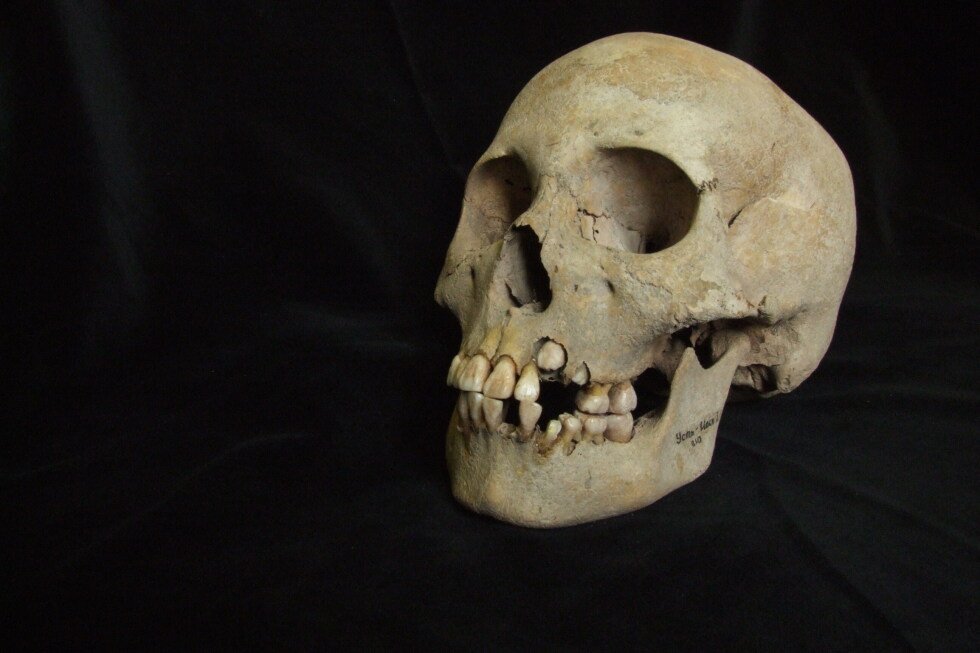 oldest-known-evidence-of-the-plague-found-in-siberian-cemeteries