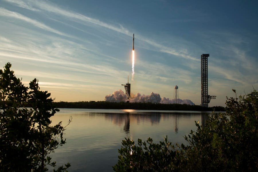 spacex-stock-plunge-wipes-out-$600-billion-after-cursor-deal-spooks-investors