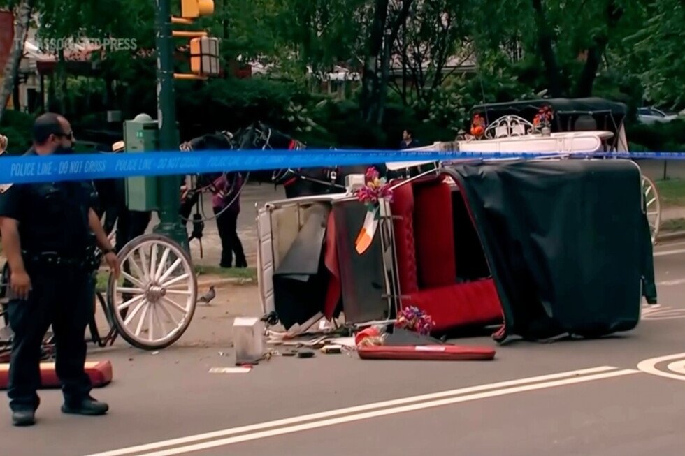 new-york-leaders-push-to-end-horse-carriage-industry-after-indian-teen’s-death