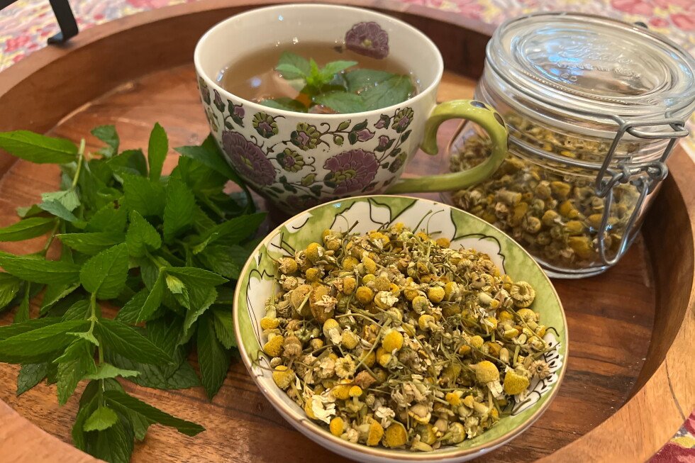 how-to-grow-and-prepare-herbs-for-tea