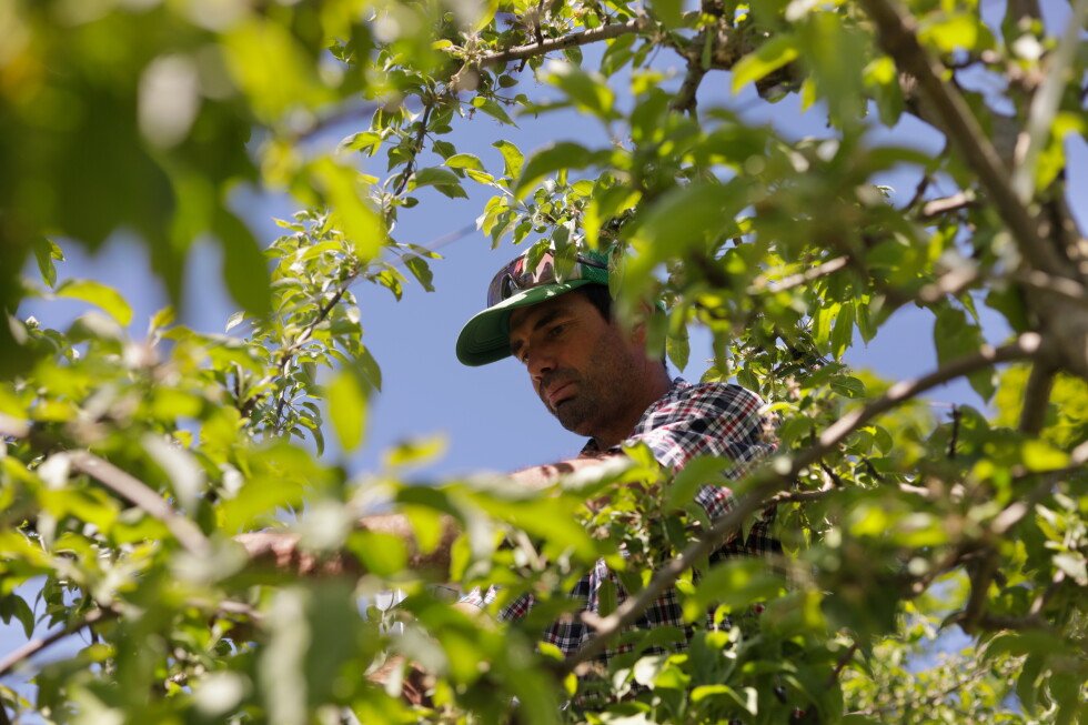 vermont-is-first-state-to-ban-paraquat,-weed-killer-used-widely-in-us