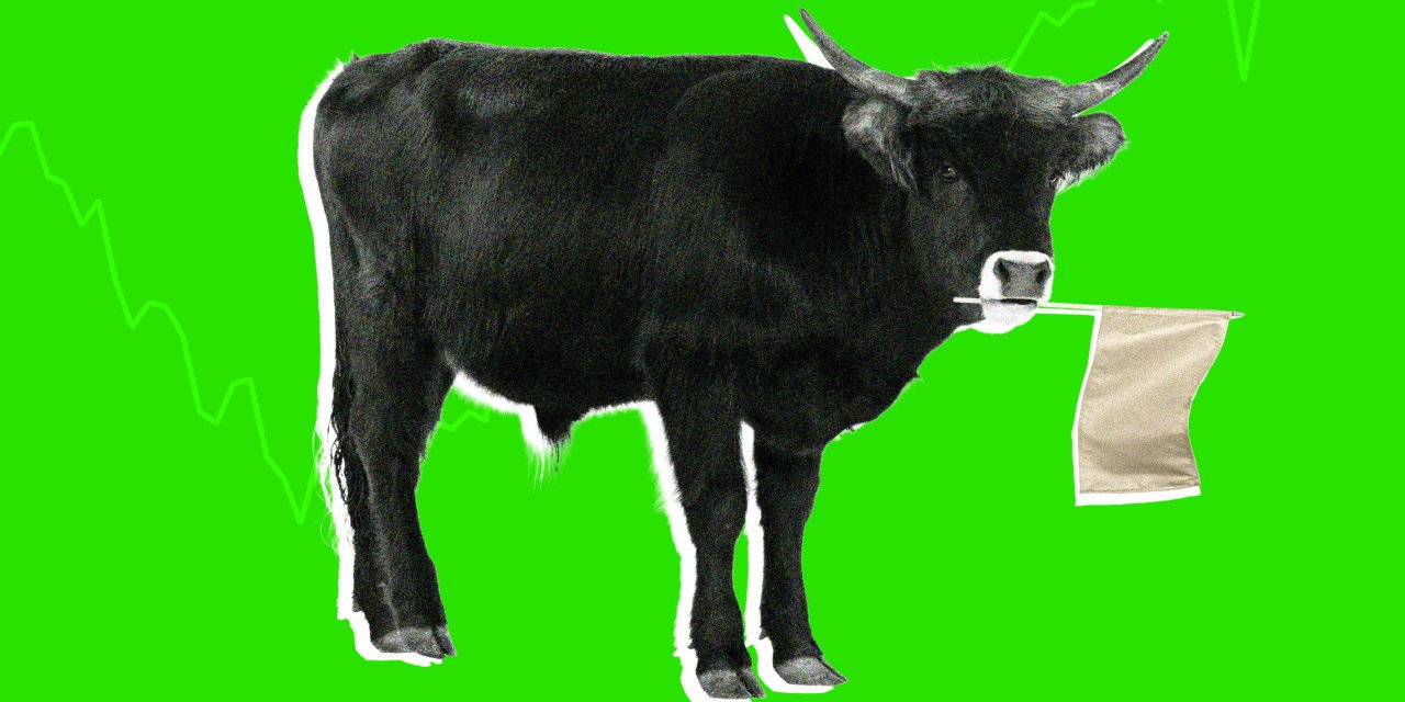 even-wall-street-bulls-are-worried-about-a-stock-market-pullback-after-dazzling-second-quarter