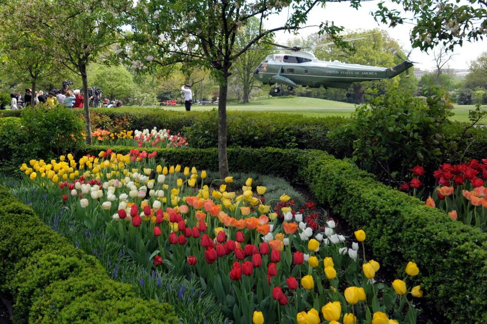 the-evolution-of-the-white-house-rose-garden-and-its-plantings