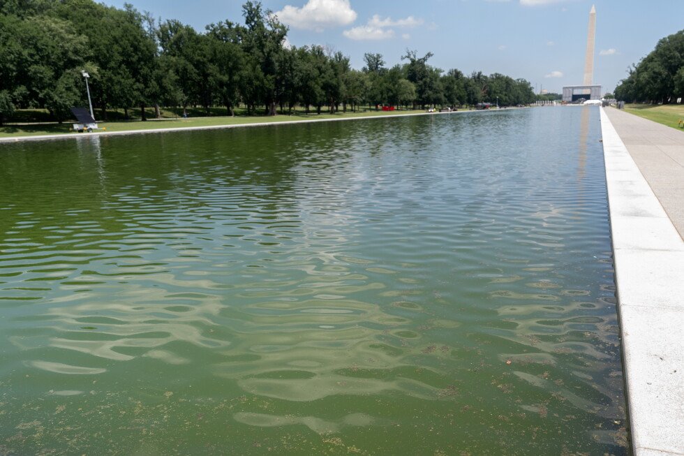 former-olympian-indicted-for-alleged-reflecting-pool-vandalism