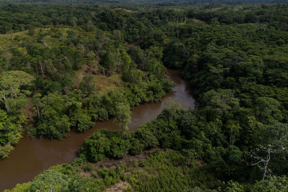 ministra-saliente-de-colombia-advierte-que-nuevo-gobierno-amenaza-avances-climaticos