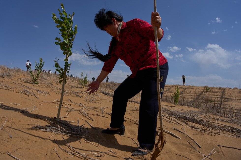 china-fights-spread-of-deserts-with-‘straw-checkerboards’