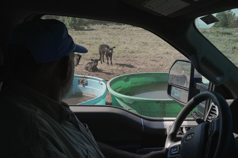 surviving-drought-means-ranchers-must-haul-water-to-cattle