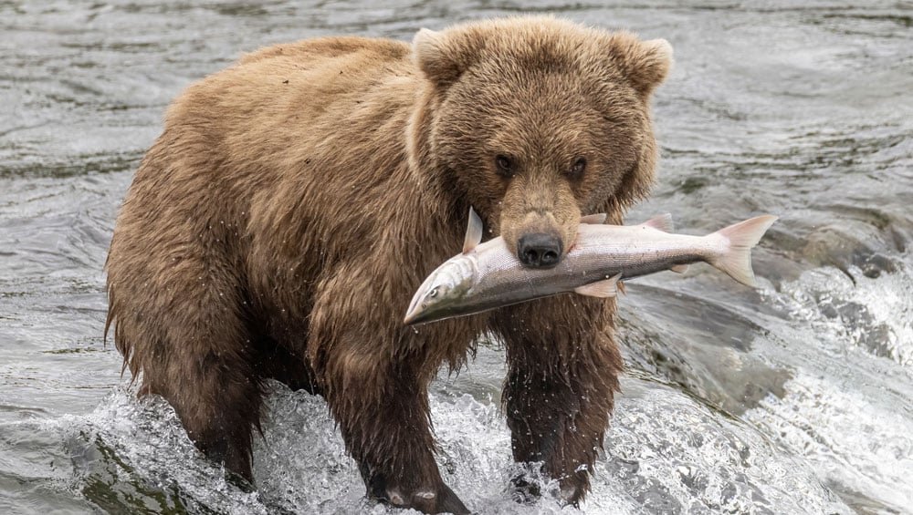 stocks-slammed,-traders-‘warshed-out’-by-no-change-in-rates;-this-sector-is-in-bear-territory