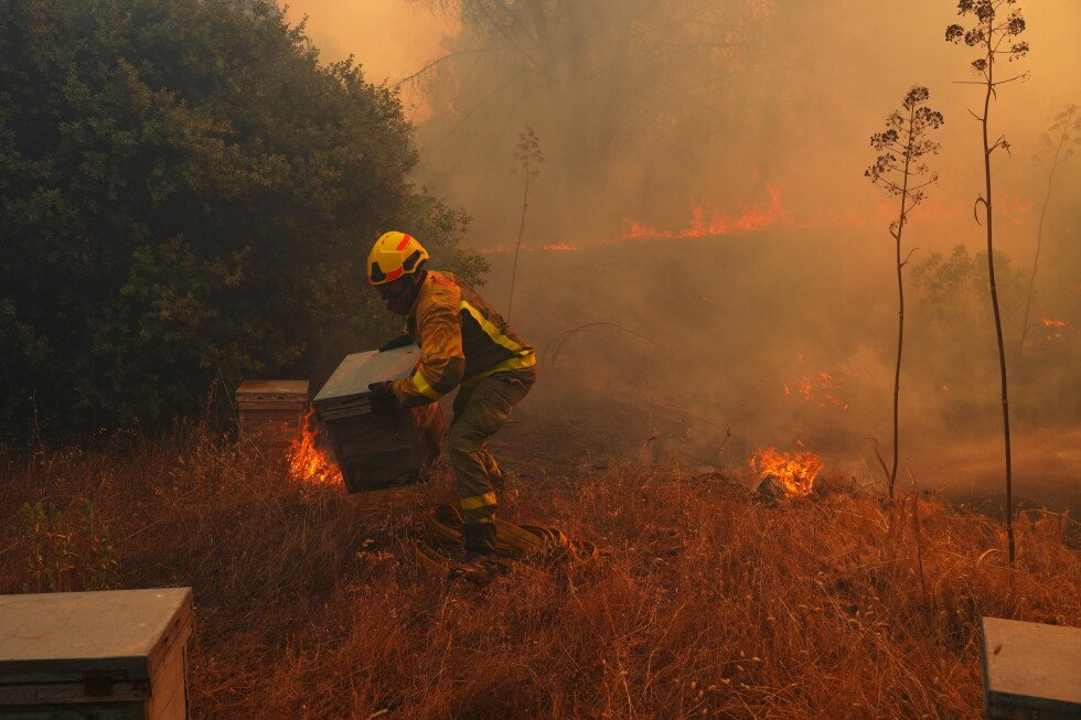 un-warns-record-strong-el-nino-will-add-fuel-to-a-burning-planet