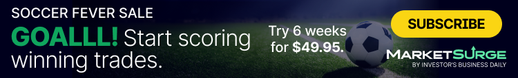 MarketSurge Soccer Fever Sale