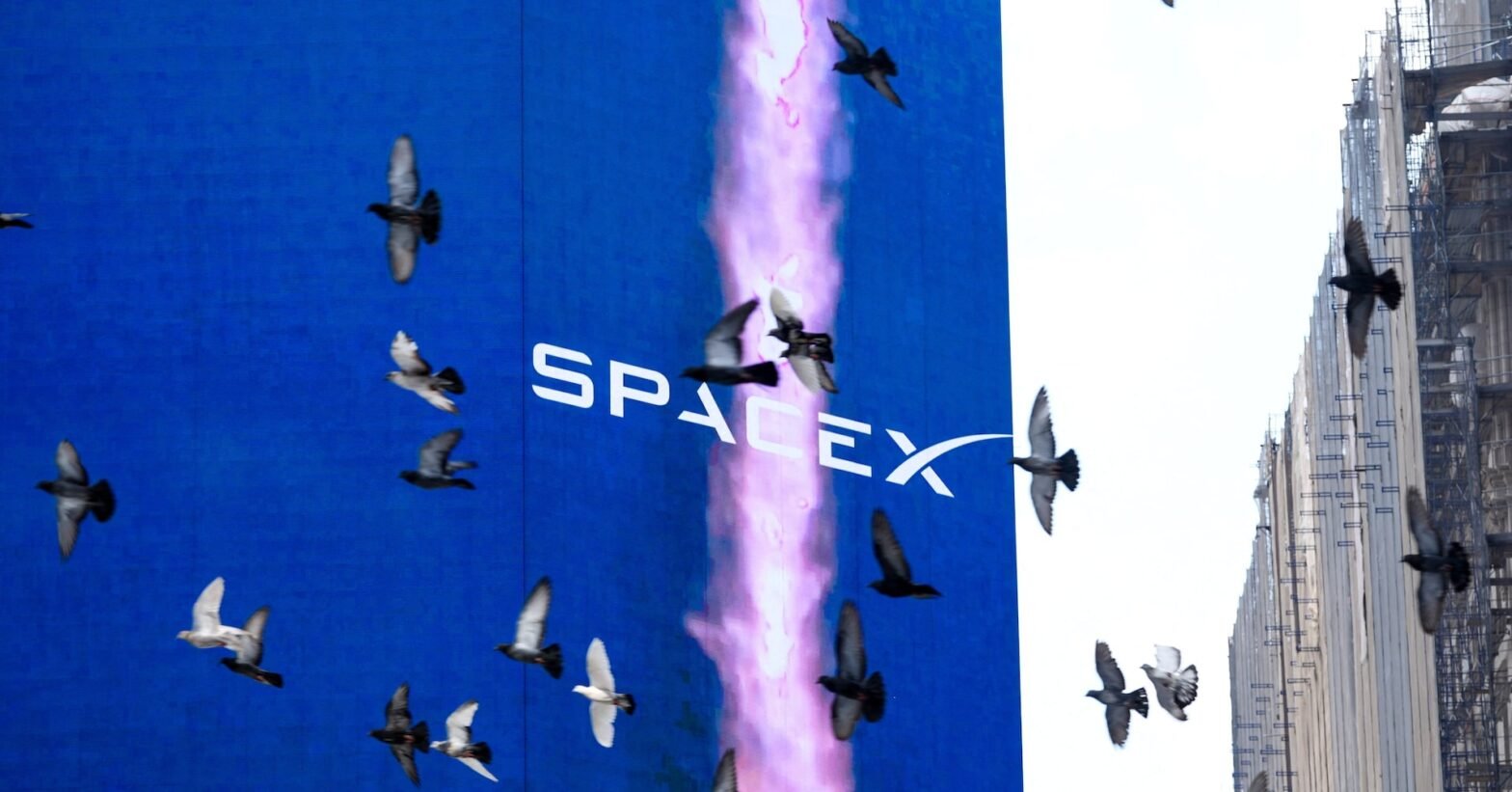 spacex-stuck-in-tight-range-as-lockup-expiry-adds-to-post-ipo-woes