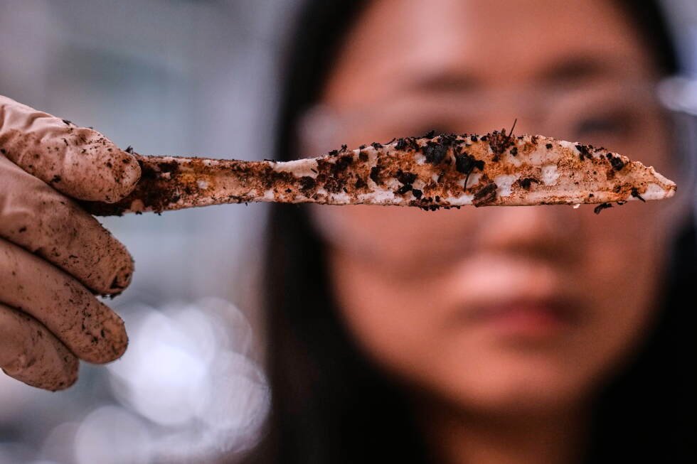 company-creates-plastic-from-sugar-to-help-solve-microplastics-problem