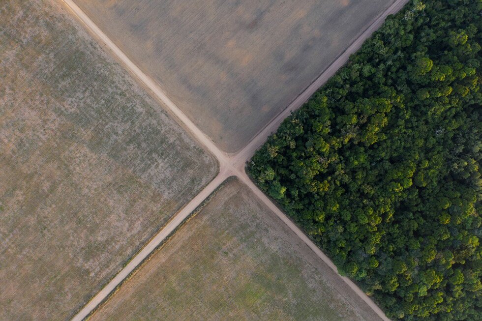 brazil’s-supreme-court-backs-state-laws-denying-tax-incentives-for-amazon-soy-moratorium