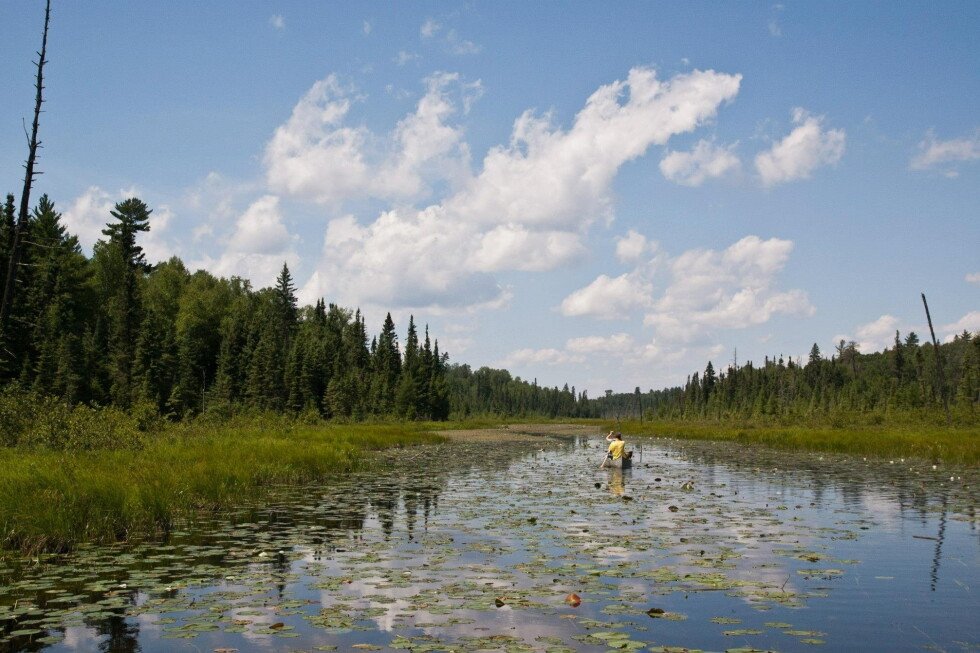 minnesota-strikes-back-after-trump-administration-eases-ban-on-mining-in-wilderness