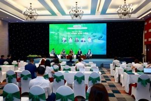 Reshaping capital flows to unlock Vietnam's next growth engine