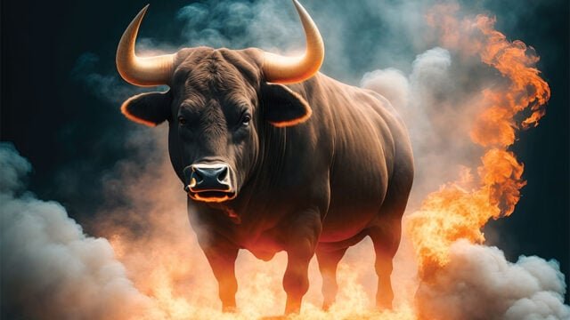 bull