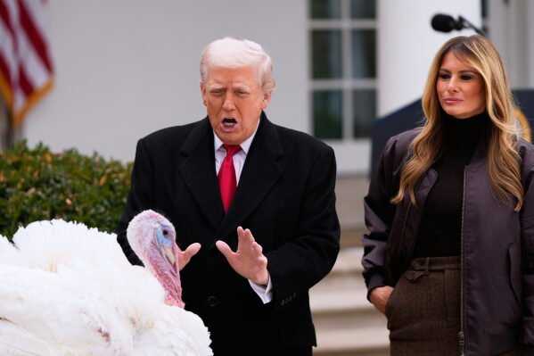 President Donald Trump and first lady Melania Trump, stand next to national Thanksgiving turkey Gobble during a pardoning ceremony in the Rose Garden of the White House, Nov. 25, 2025, in Washington. (AP Photo/Julia Demaree Nikhinson, File)