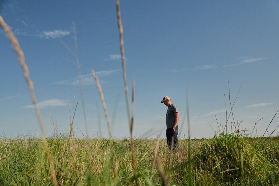 farmers-are-growing-a-new-grain-to-combat-climate-change