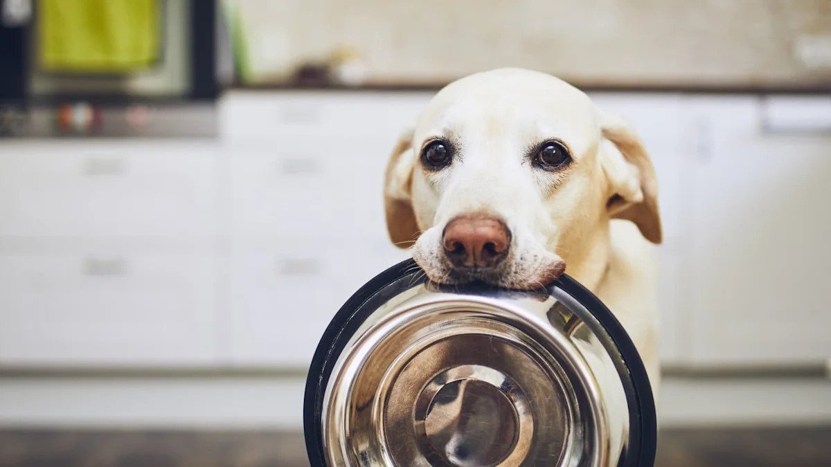 chewy-sinks-11%-as-free-cash-flow-miss-overshadows-raised-outlook;-petco-falls-6%,-freshpet-ticks-up
