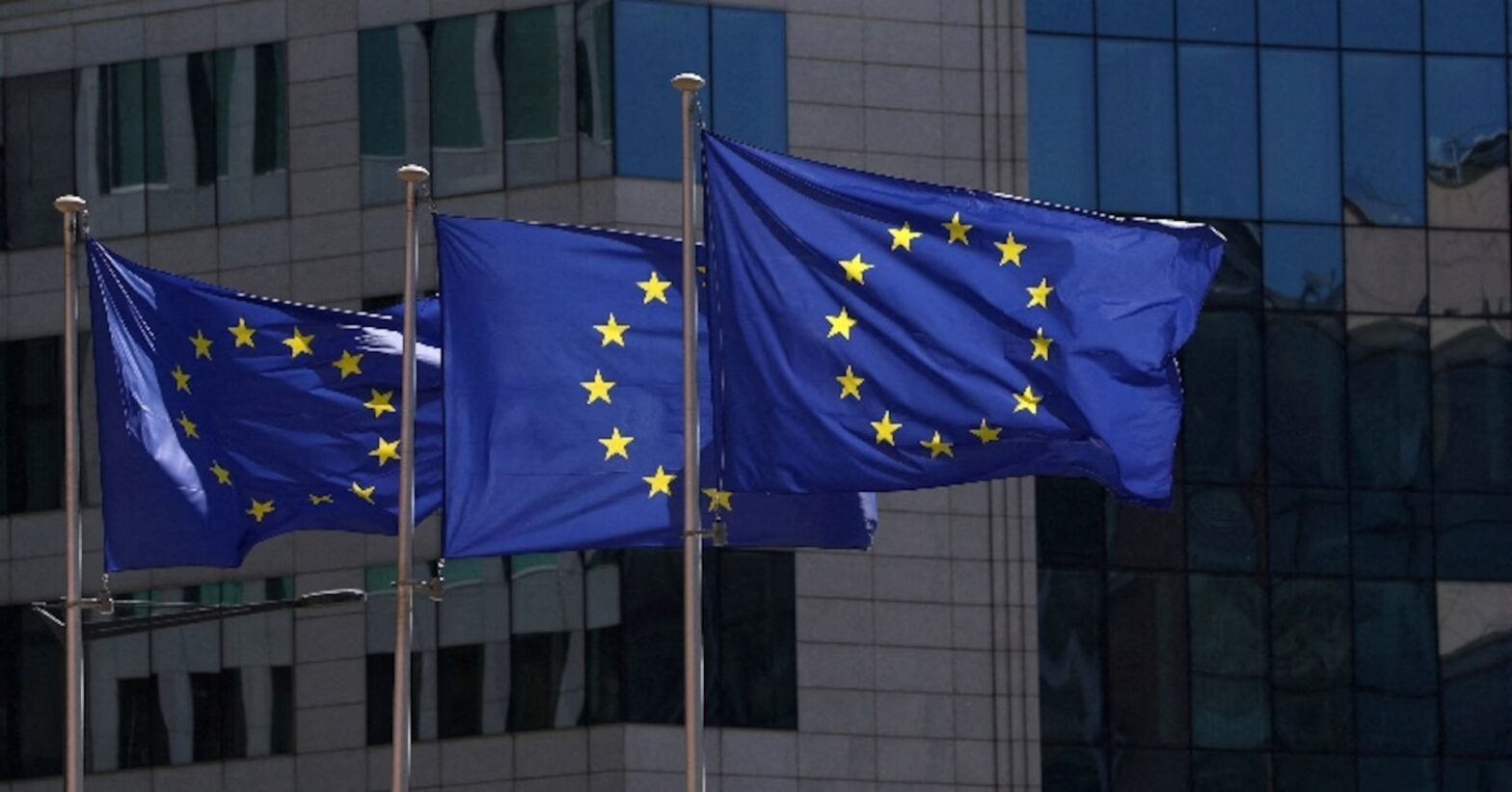 eu-watchdog-flags-risk-of-abrupt-market-correction