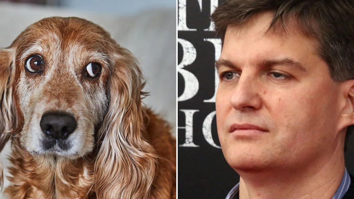 michael-burry-says-he-only-invests-in-‘three-legged-dogs’-—-though-five-legs-would-be-even-better