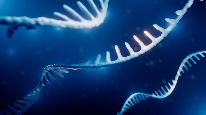 gene-silencing-biotech-adarx-makes-some-noise-with-$535m-stock-market-debut