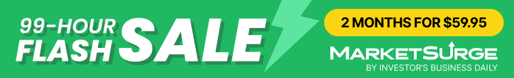 MarketSurge 99-Hour Flash Sale