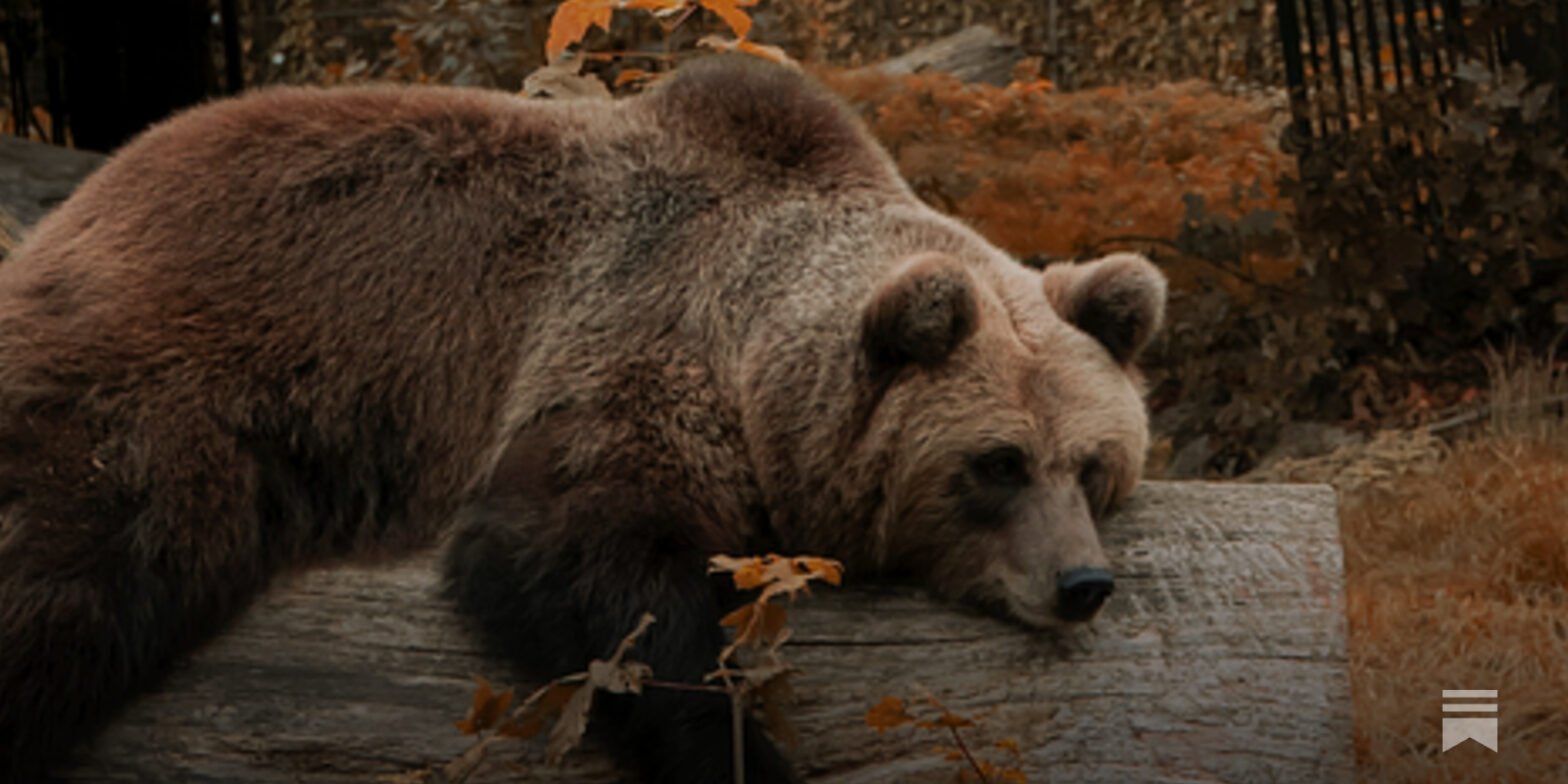 a-bear-case-scenario-for-the-long-term,-diversified-stock-market-investor-