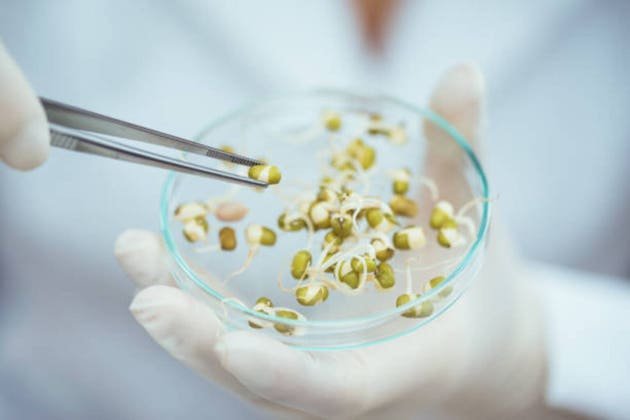 vylor-rated-outperform-in-new-research-coverage-at-oppenheimer