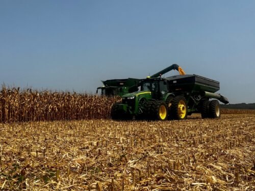 analyst-expects-modest-yield-changes-in-october-usda-report
