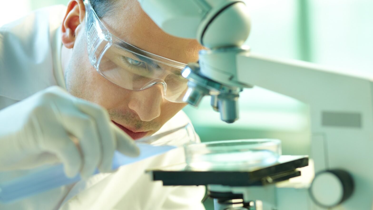 earnings-report:-daito-pharmaceutical-co,-ltd.-missed-revenue-estimates-by-15%