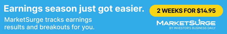 MarketSurge Earnings Season Sale