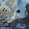 Iridescent colors abstract shapes on tar water surface of natural asphalt pit.